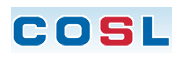 China Oilfield Services Limited 